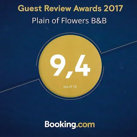 Plain Of Flowers